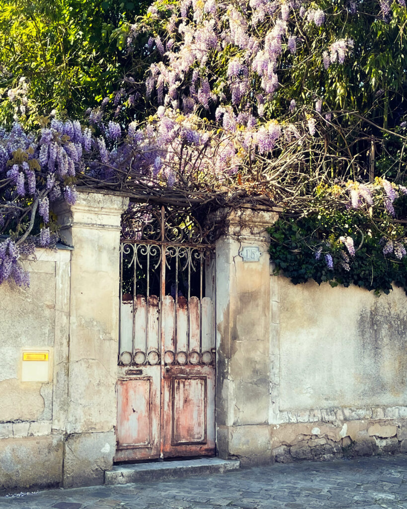 alexandra soroko fontenbleau landscape photography
