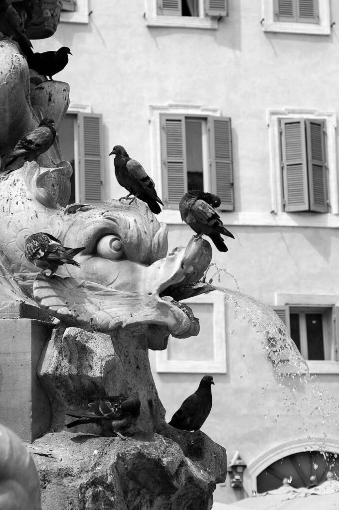 alexandra soroko rome fountain landscape photography