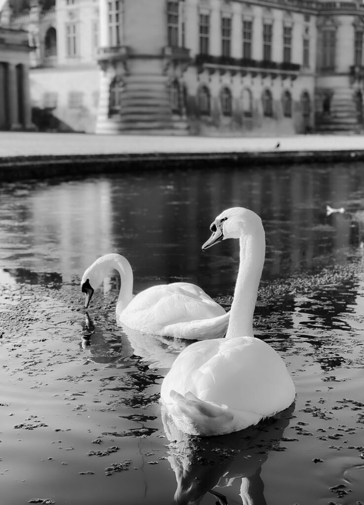 alexandra soroko signes chantilly landscape photography
